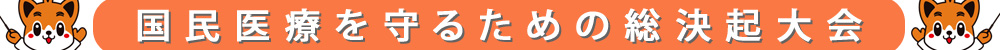 国民医療を守るための総決起大会
